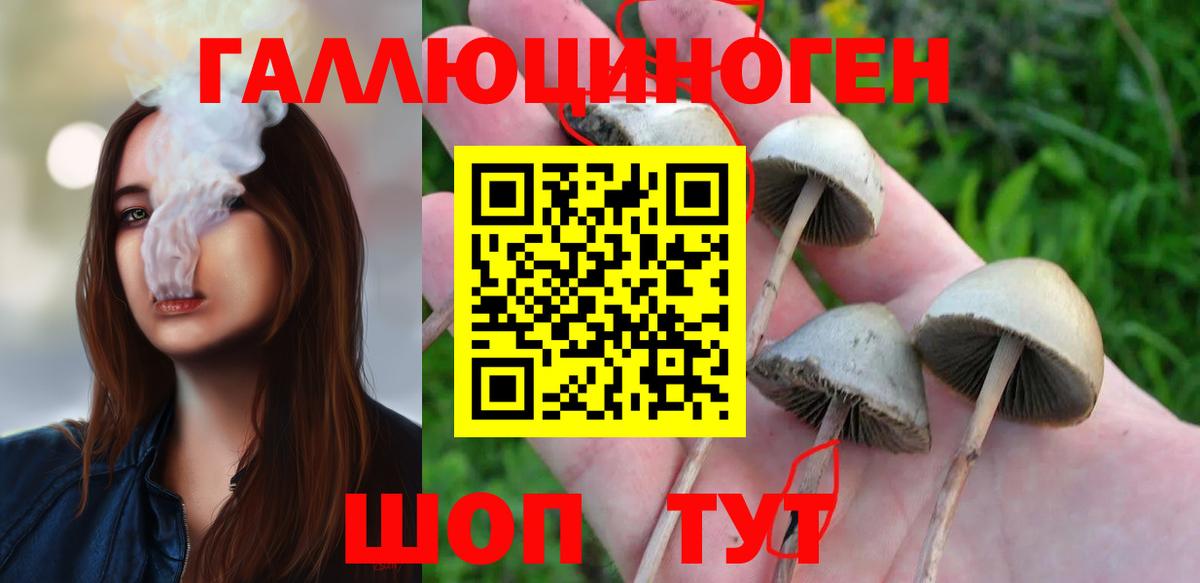 Галлюциногенные грибы ЛСД  Псилоцибиновые грибы ЛСД  Вход с VPN  Кисловодск 